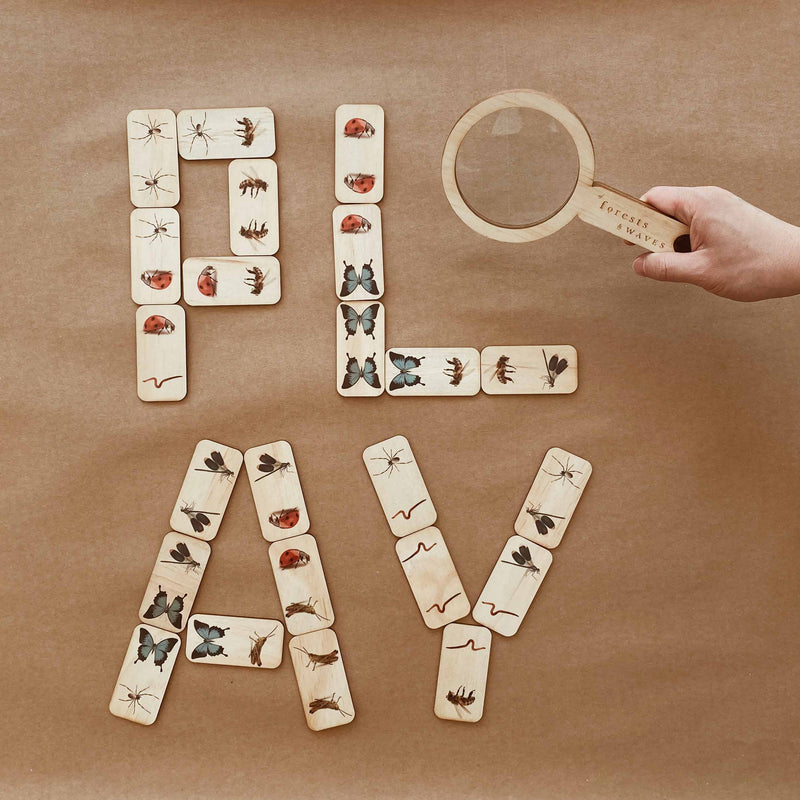 5 little bears dominoes bugs