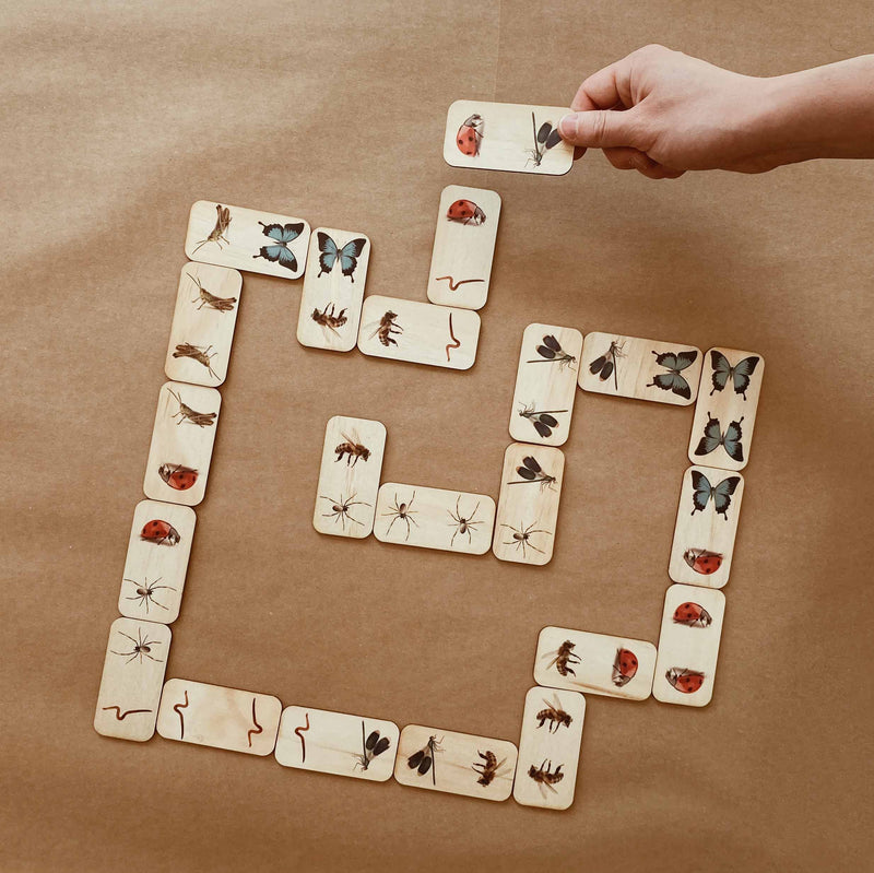 5 little bears dominoes bugs