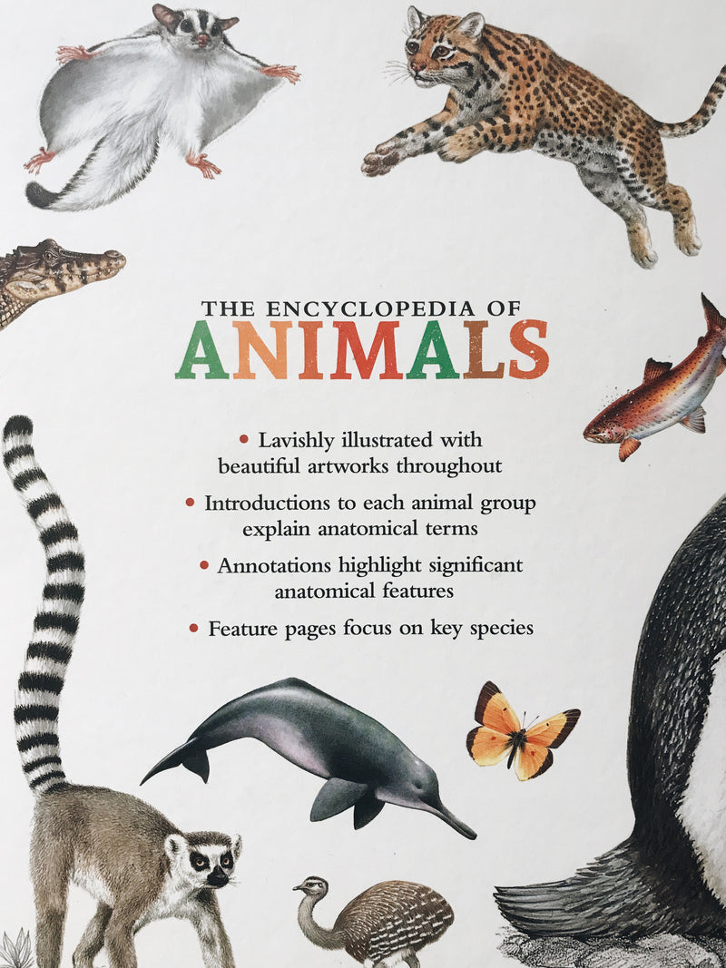 The Encyclopedia of Animals