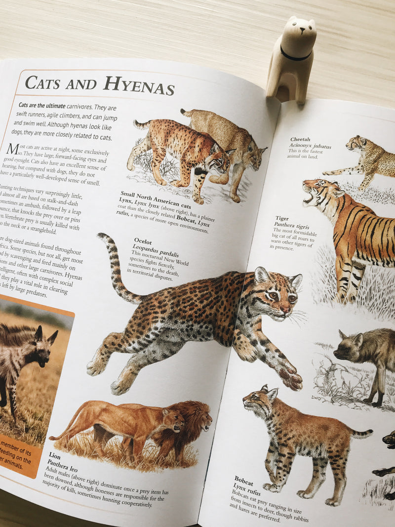 The Encyclopedia of Animals