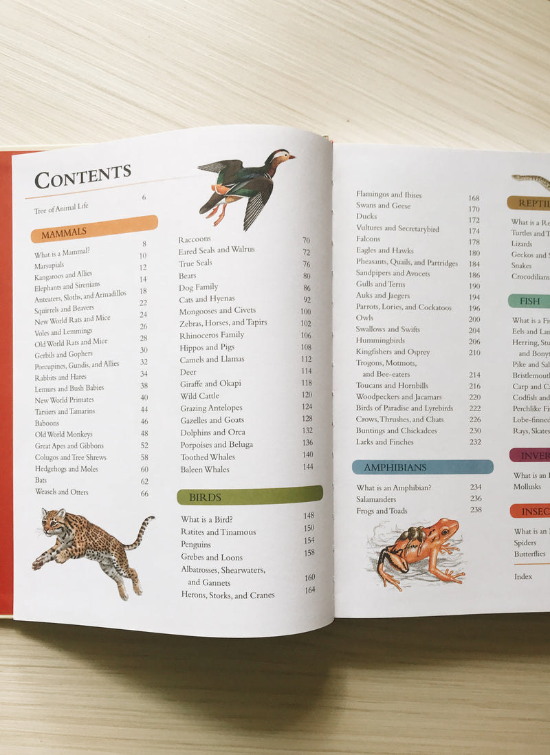 The Encyclopedia of Animals