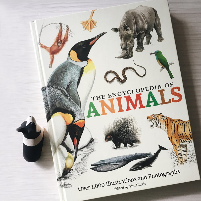 The Encyclopedia of Animals