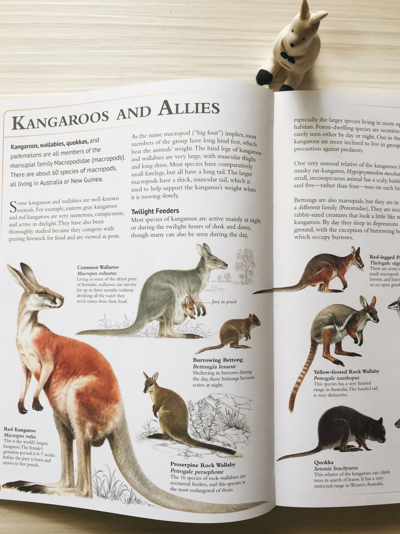 The Encyclopedia of Animals