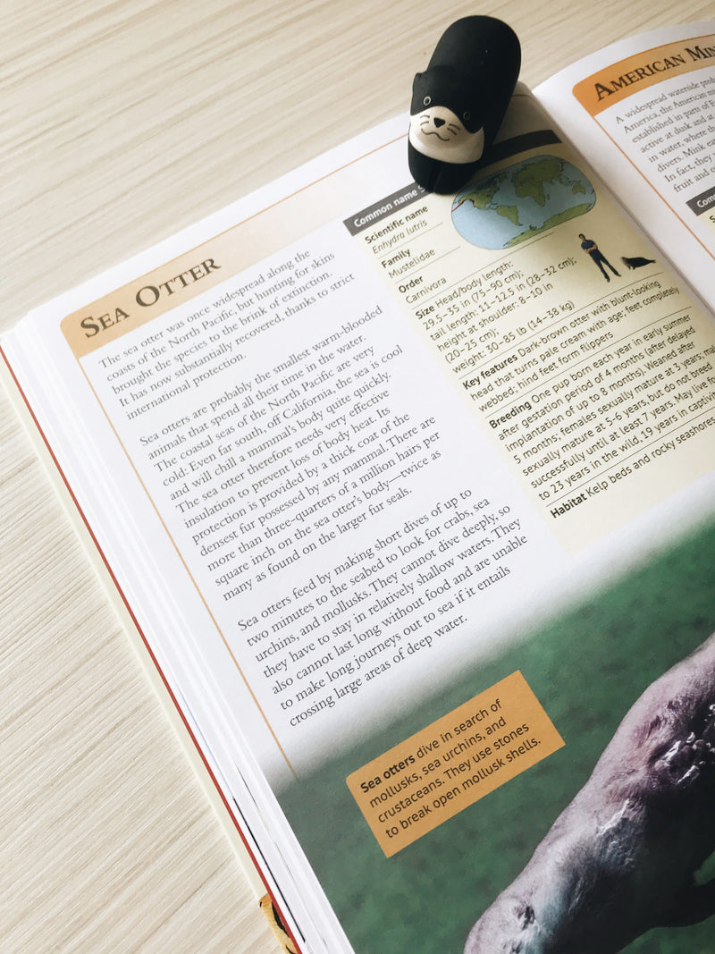 The Encyclopedia of Animals