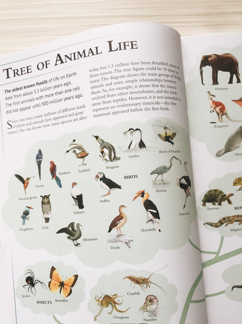 The Encyclopedia of Animals