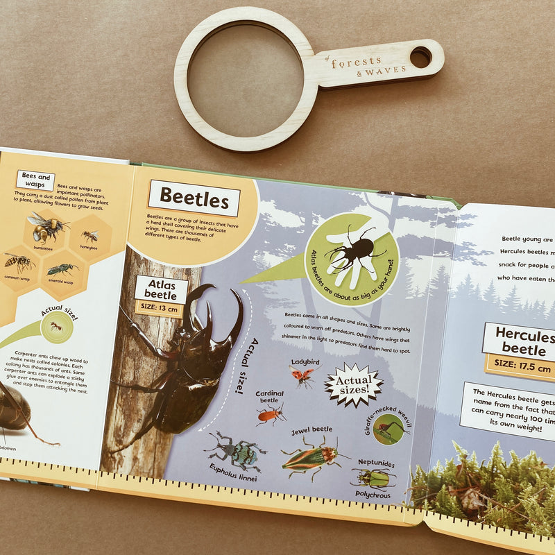 Magnifying Glass